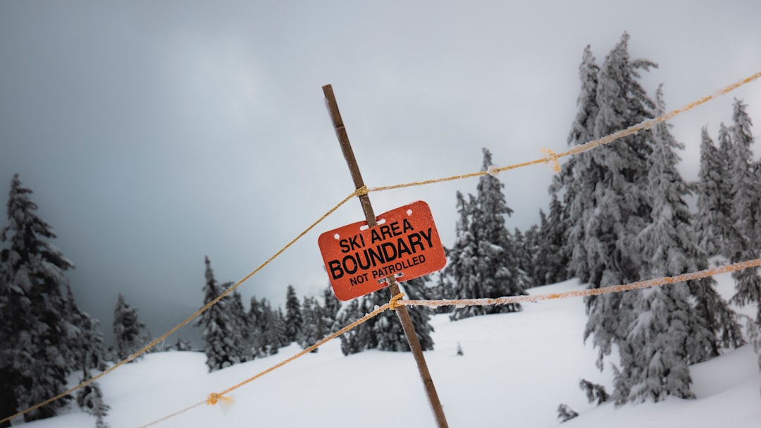 Banff Ski Area: 2026's Ultimate Guide to Epic Powder Days