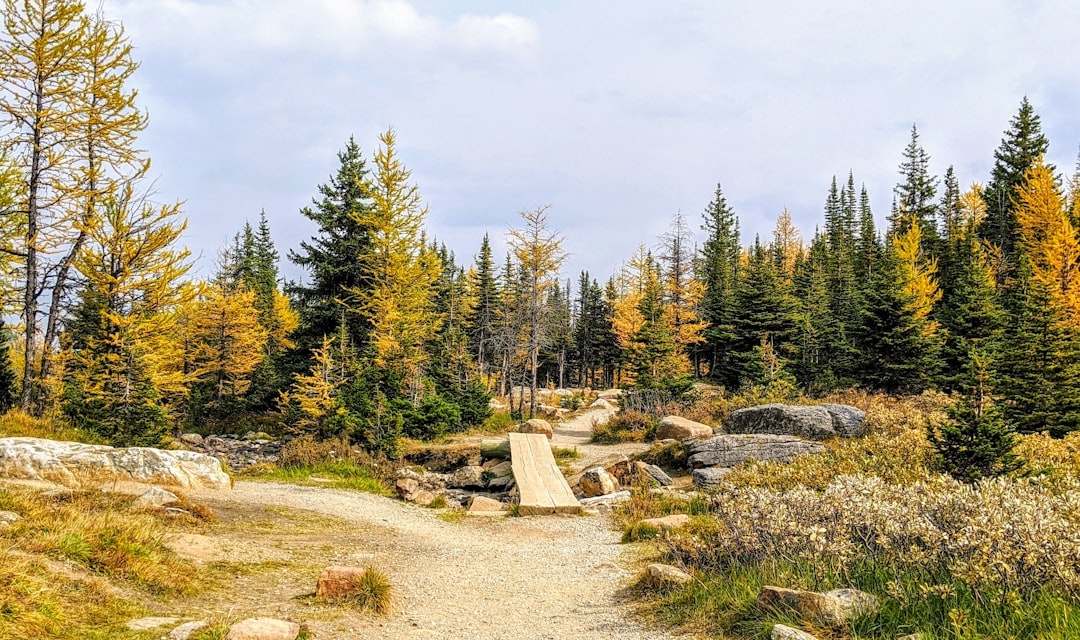 Golden Banff 2026: Your Ultimate Guide to Canada's Crown Jewel